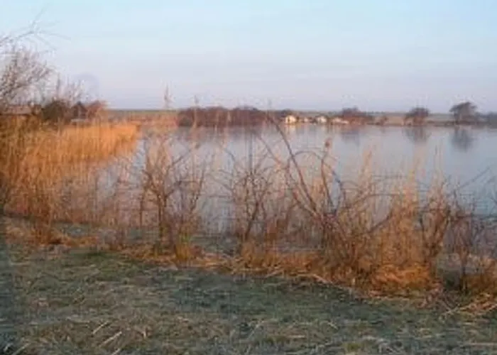 E15 Freistehendes Haus Am Eckwarderhoerner Deich By Interhome