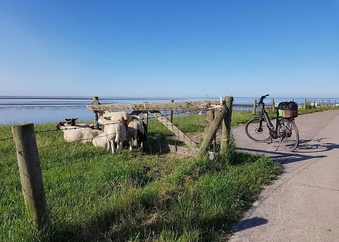 E15 Freistehendes Haus Am Eckwarderhoerner Deich By Interhome Σπίτι διακοπών